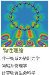 Theoretical Condensed Matter Group